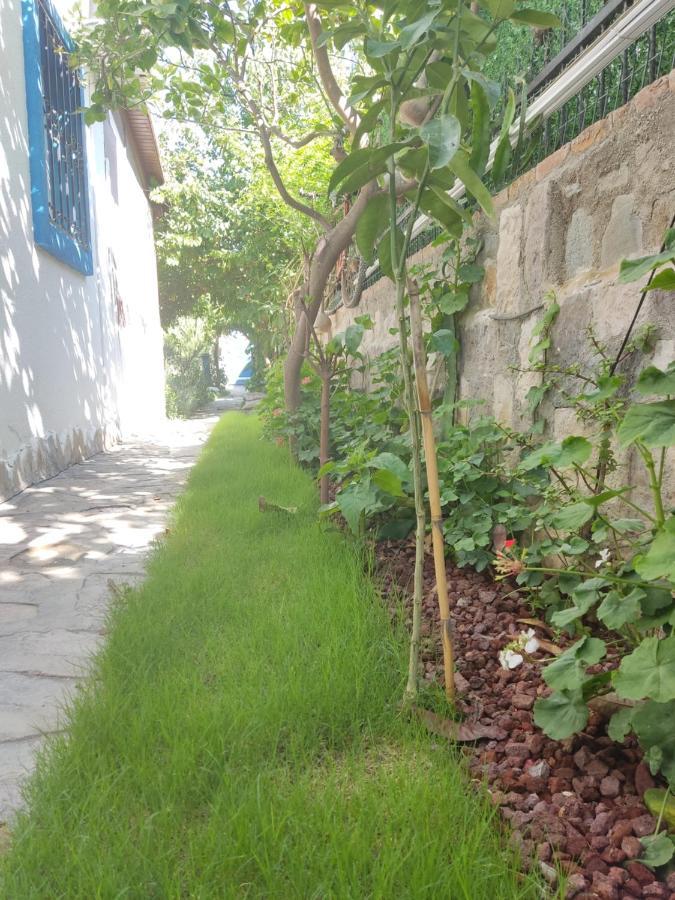 Apart Turgutreis Extérieur photo