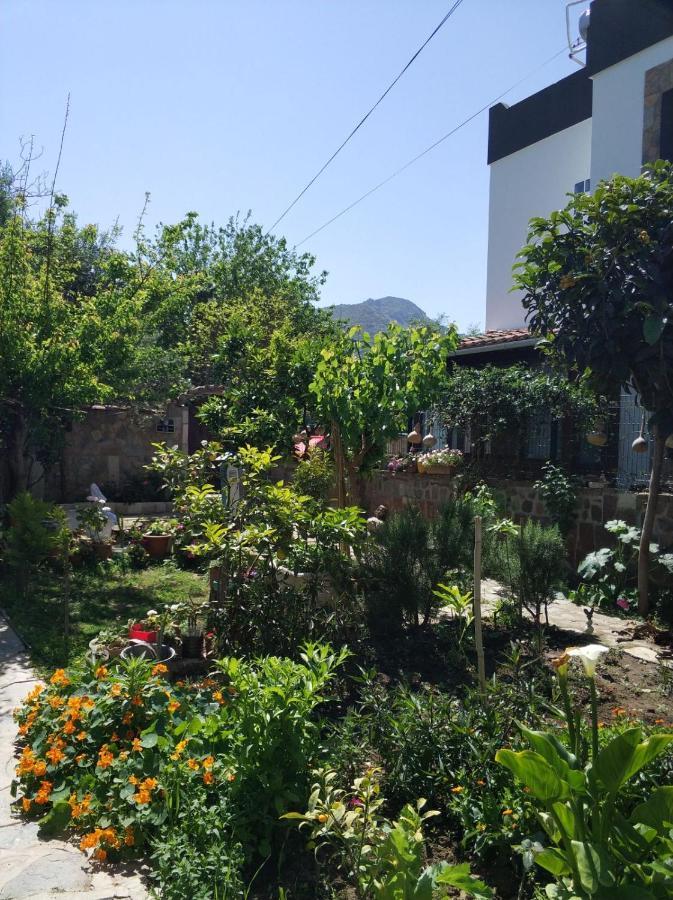 Apart Turgutreis Extérieur photo