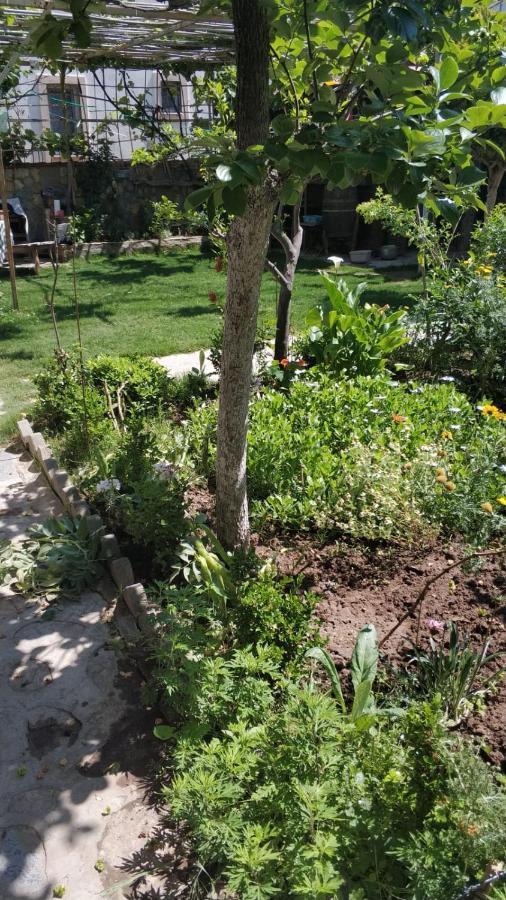 Apart Turgutreis Extérieur photo